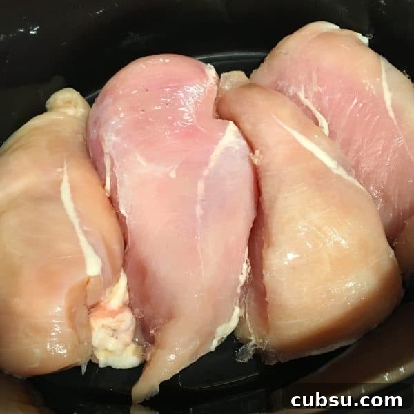 Creamy Slow Cooker Chicken with Savory Gravy 4 Chicken Breast in crock pot for Slow Cooker Chicken and Gravy