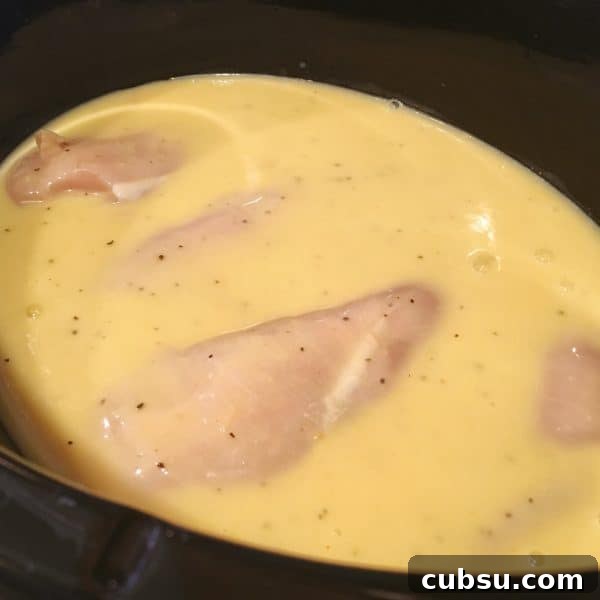 Creamy Slow Cooker Chicken with Savory Gravy 5 Chicken and Gravy in slow cooker