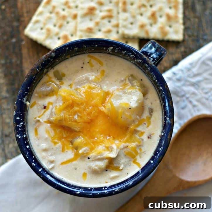 Crockpot Cheesy Potato and Chicken Soup