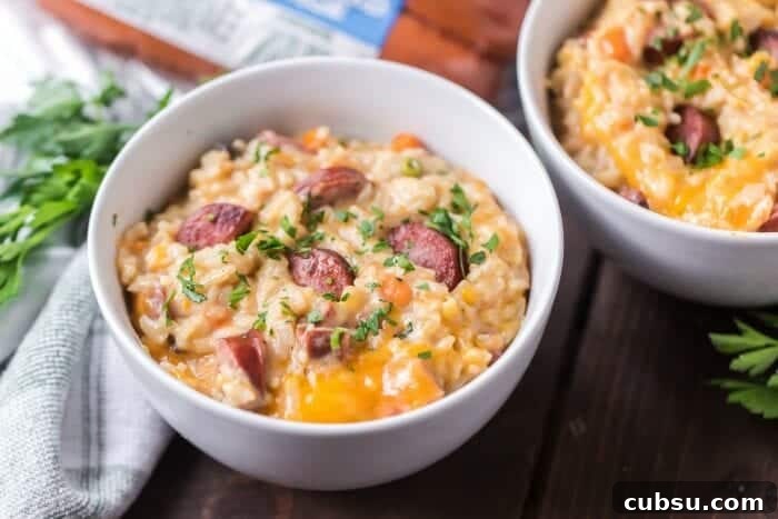 instant pot sausage and rice 2