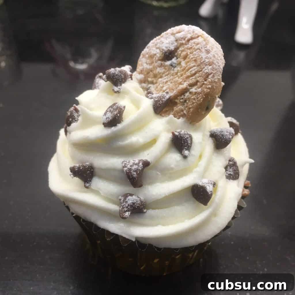 Delicious Chocolate Chip Cupcakes Recipe | Hello! 2 Choc Chip Cupcakes