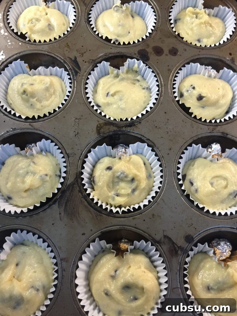 Delicious Chocolate Chip Cupcakes Recipe | Hello! 3 img 418 2