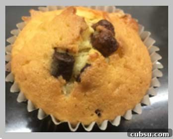 Delicious Chocolate Chip Cupcakes Recipe | Hello! 4 Choc Chip Cupcakes