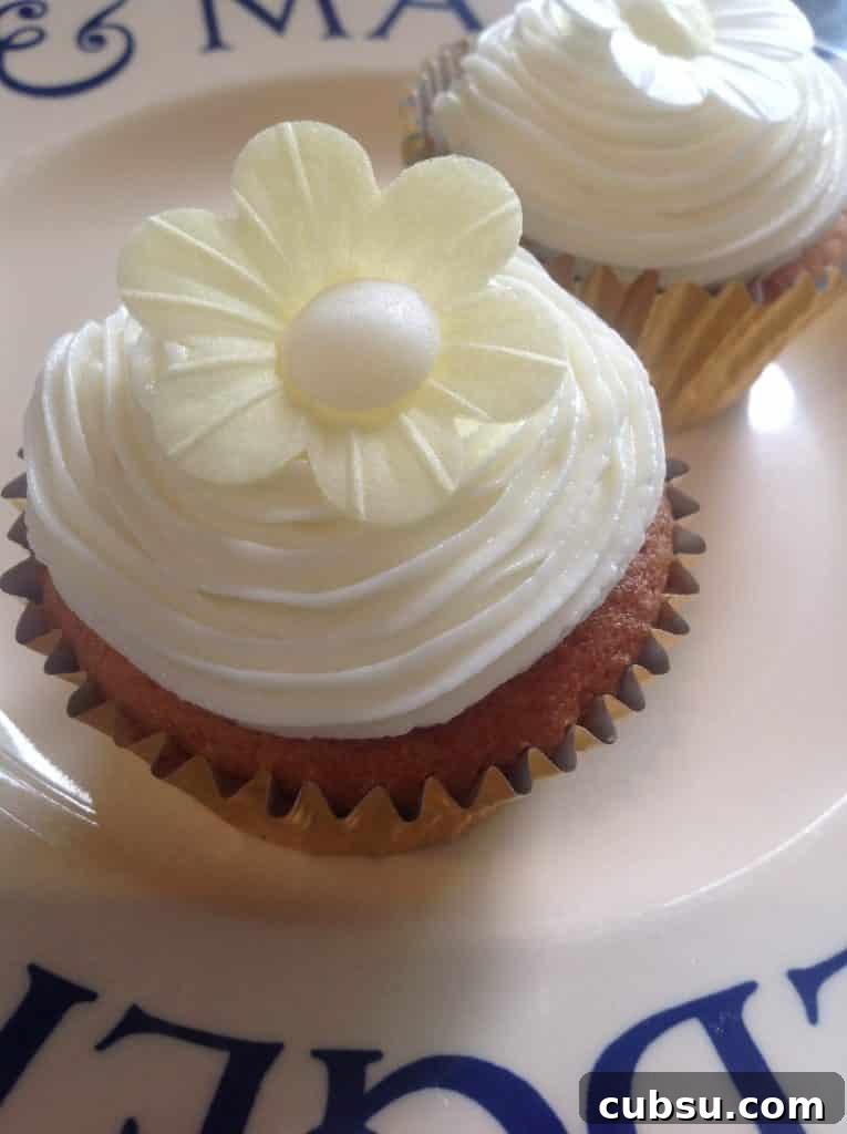 Delicious Chocolate Chip Cupcakes Recipe | Hello! 5 Little Lemon Cupcakes