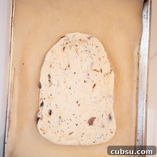 Black Olive & Herb Fougasse: Rustic French Flatbread Recipe 3 Rolled out fougasse dough on a parchment paper lined sheet pan.