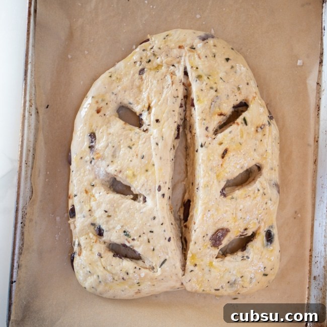 Black Olive & Herb Fougasse: Rustic French Flatbread Recipe 4 Fougasse dough with cut areas.