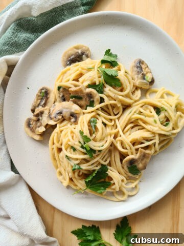 Plate of creamy mushroom pasta