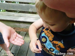 20+ Fun Camping Snacks and Meals Kids Will Love 21 Discovering roly poly
