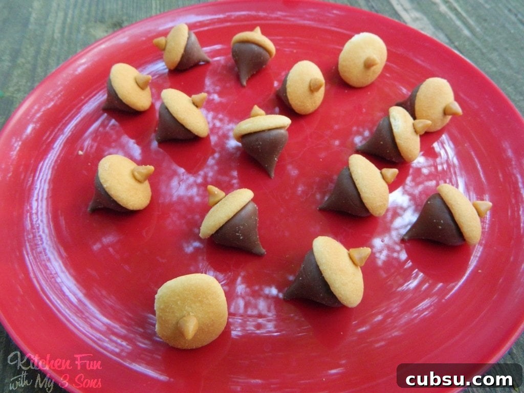20+ Fun Camping Snacks and Meals Kids Will Love 26 Acorn Treats