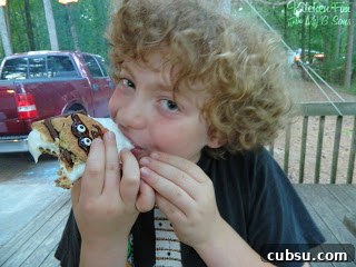 20+ Fun Camping Snacks and Meals Kids Will Love 29 Racoon S'mores