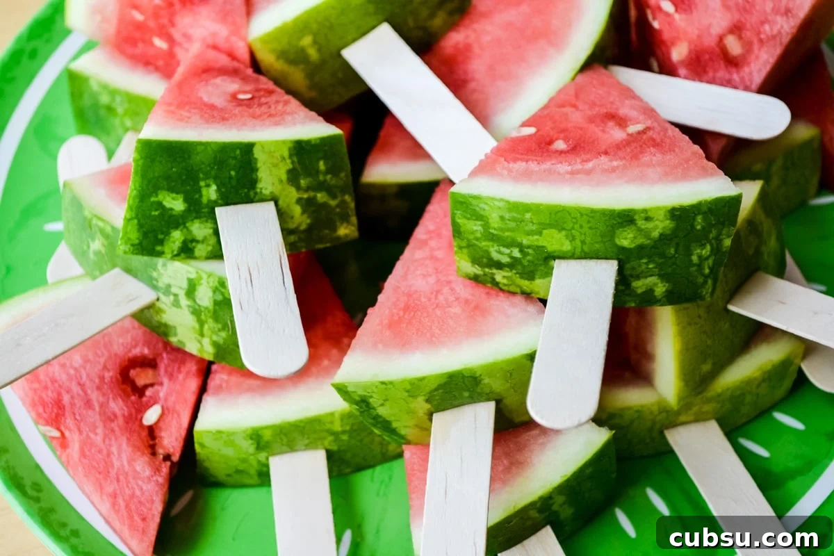 20+ Fun Camping Snacks and Meals Kids Will Love 31 Watermelon on a Stick