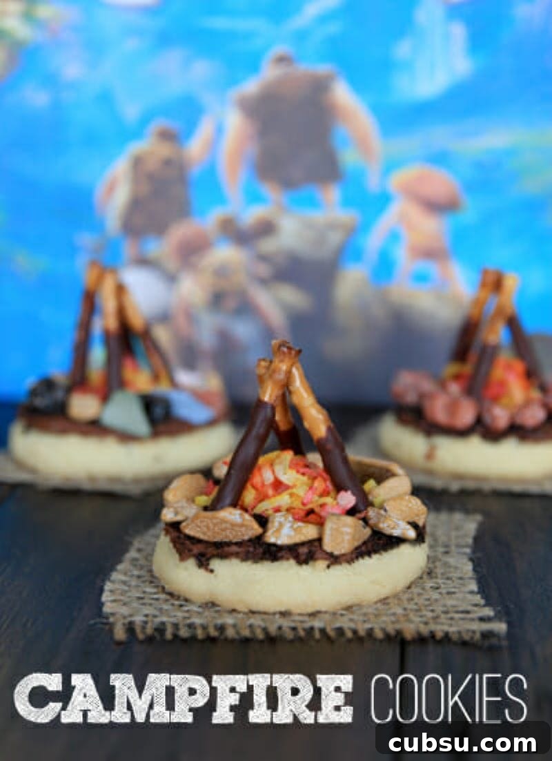 20+ Fun Camping Snacks and Meals Kids Will Love 33 Campfire cookies