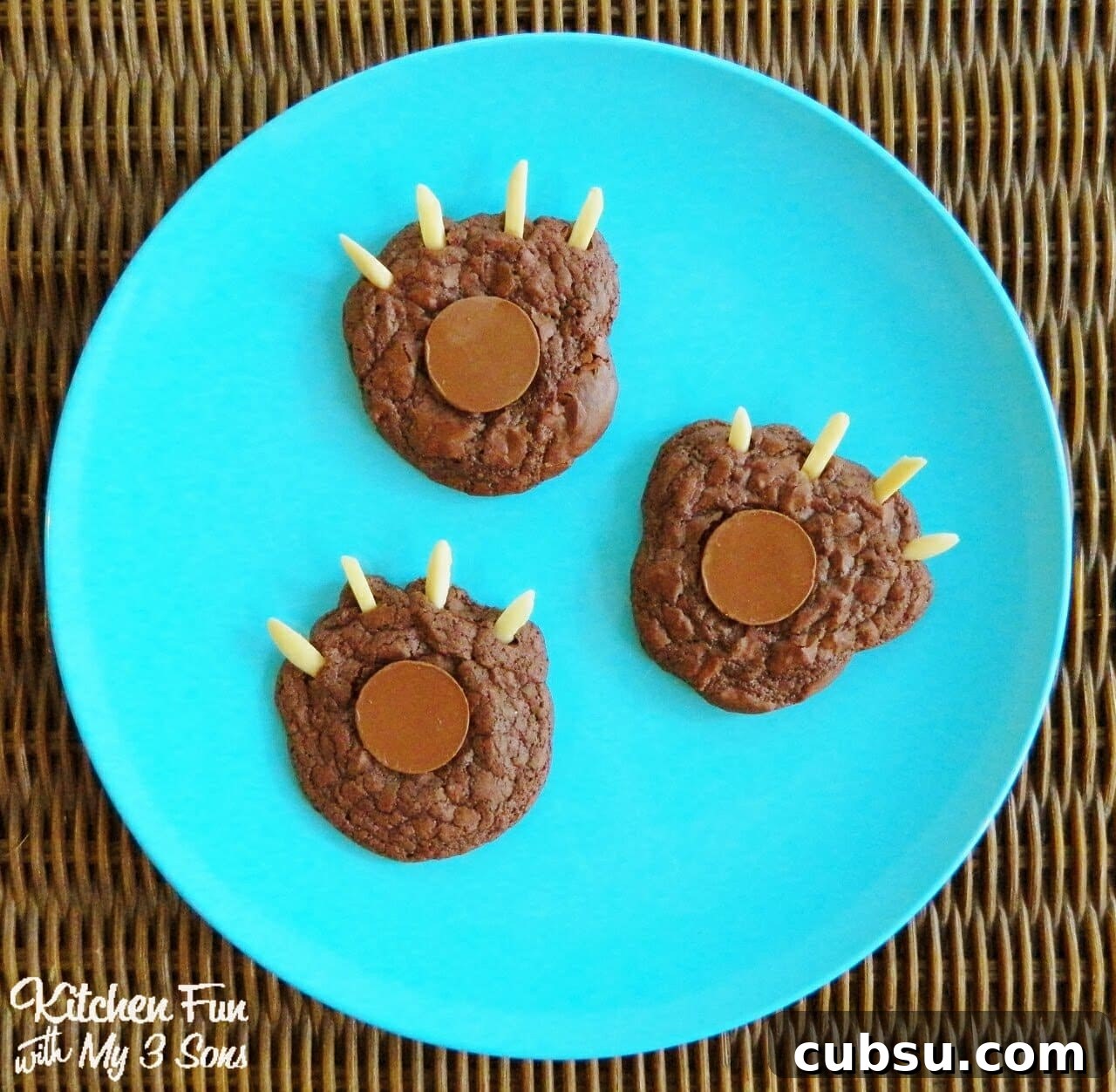 20+ Fun Camping Snacks and Meals Kids Will Love 35 Brownie Bear Claw Cookies