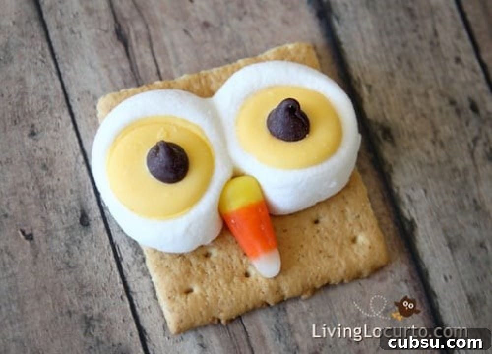 20+ Fun Camping Snacks and Meals Kids Will Love 36 Owl S'mores fun food