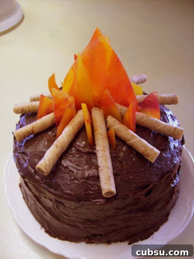 20+ Fun Camping Snacks and Meals Kids Will Love 38 Campfire Cake