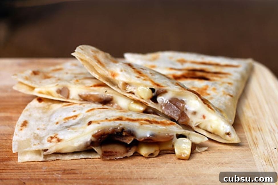 20+ Fun Camping Snacks and Meals Kids Will Love 39 Campfire Quesadillas