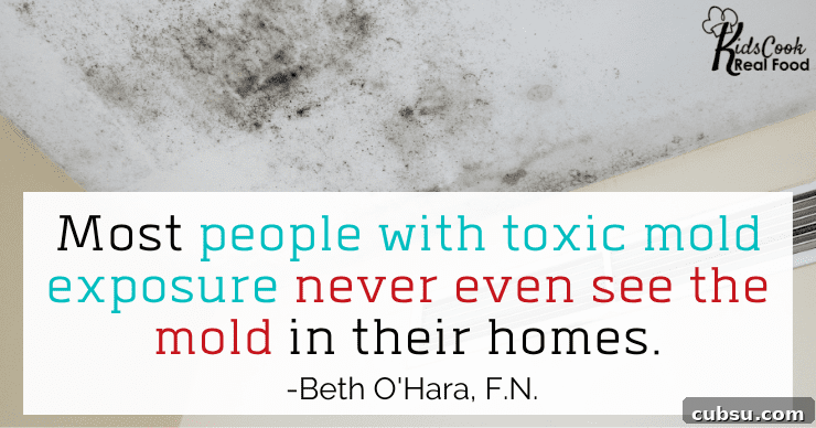 Most people who have had toxic mold exposure never even see the mold in their homes. -Beth O'Hara