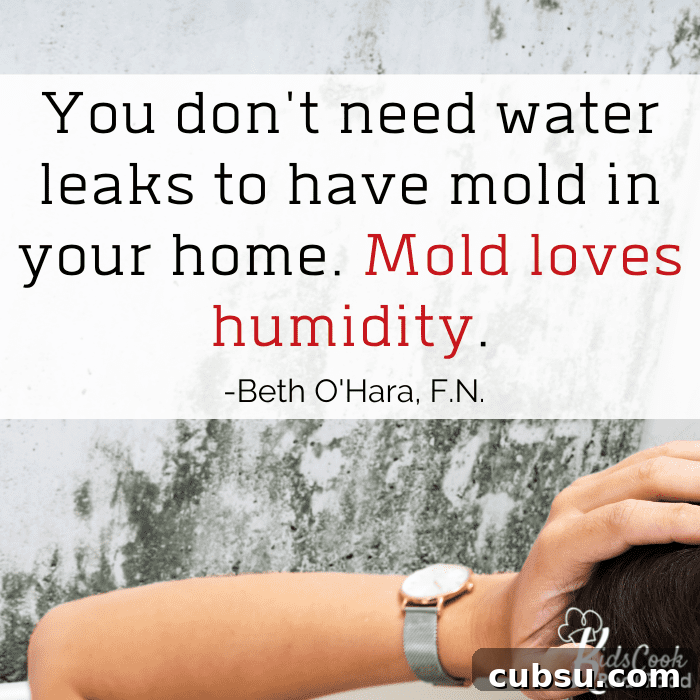 You don't need water leaks to have mold in your home. Mold loves humidity. - Beth O'Hara