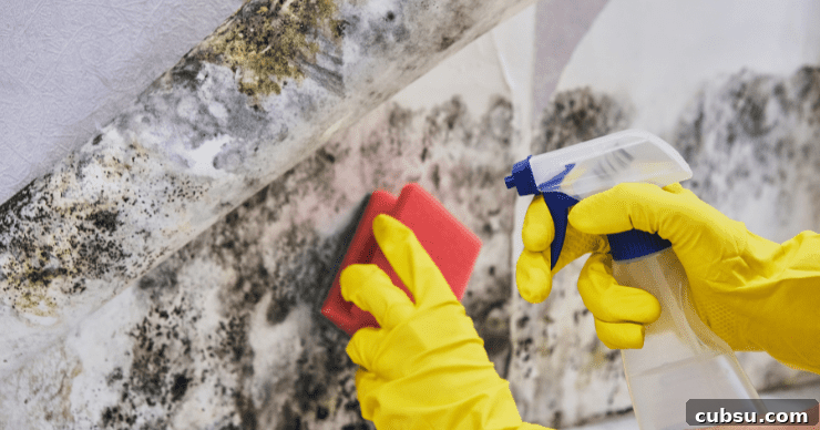cleaning toxic mold