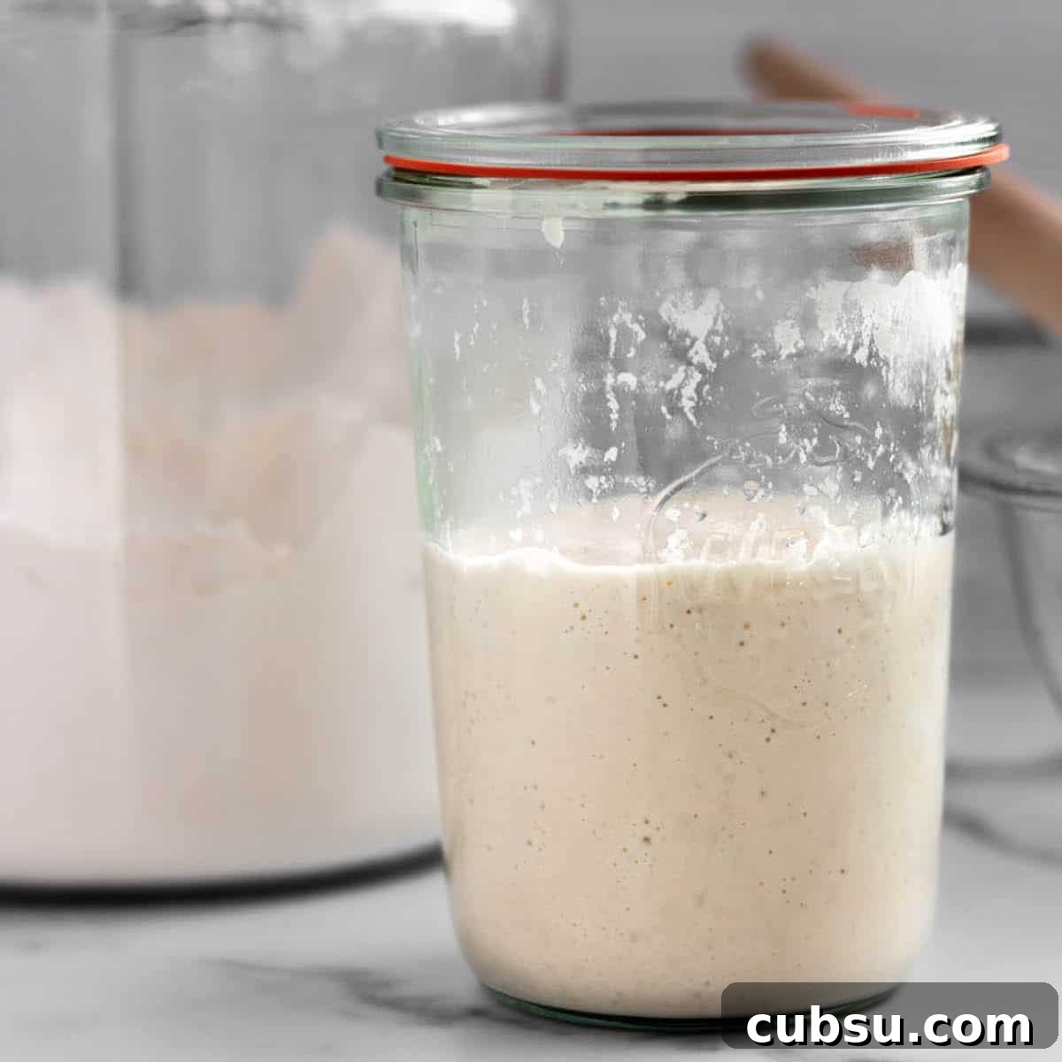 25 Creative Uses for Sourdough Discard: Recipes & Tips 3 A glass jar with sourdough starter discard, flour and a dough whisk.