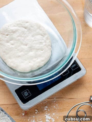 A digital scale with a bowl of sourdough starter, dough whisk, flour and a cup of water.