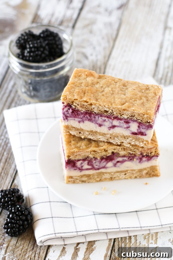 Gluten Free Vegan Blackberry Crisp Ice Cream Sandwiches. Creamy blackberry swirled cashew milk ice cream, sandwiched between two oatmeal crisp cookies. 