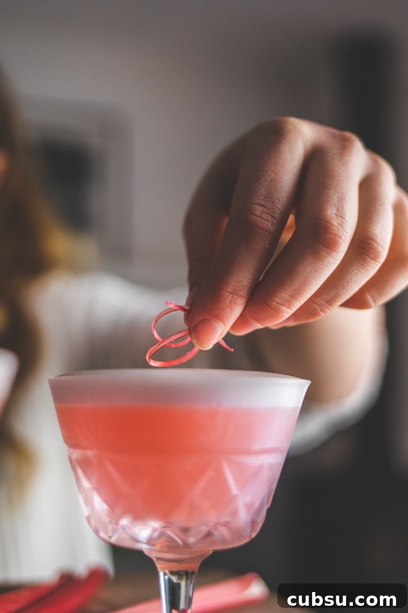 Rhubarb Sour Cocktail Recipe — Tangy Spring Drink 3 Vegan Rhubarb Sour Cocktail - Georgie Eats