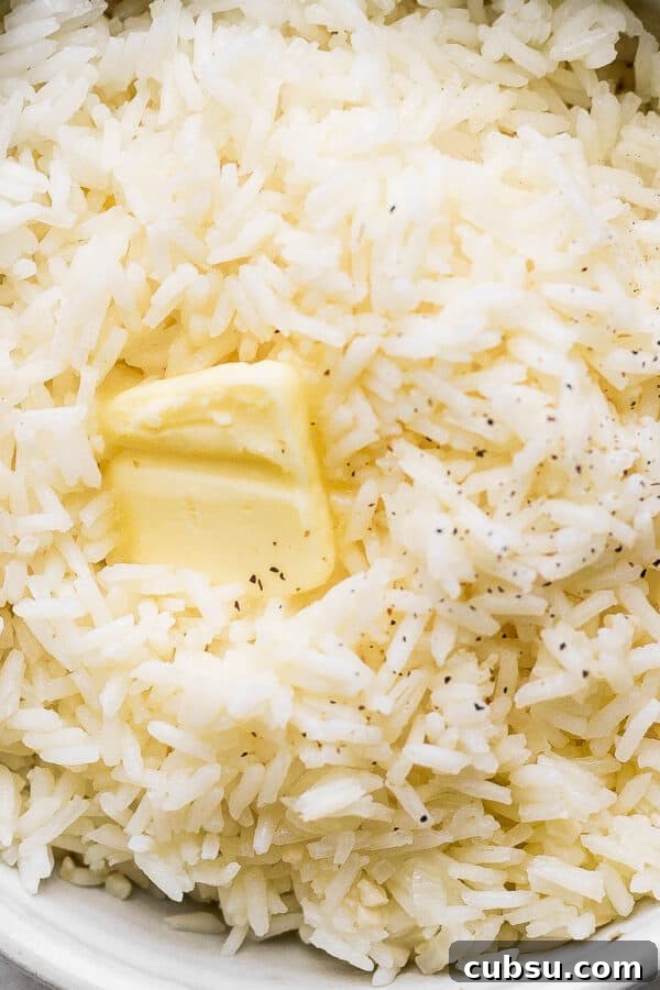 Crispy Oven and Air Fryer Rice: Step-by-Step Guide for Crunchy Rice 10 Bowl of garlic butter rice with a small slice of butter on top.