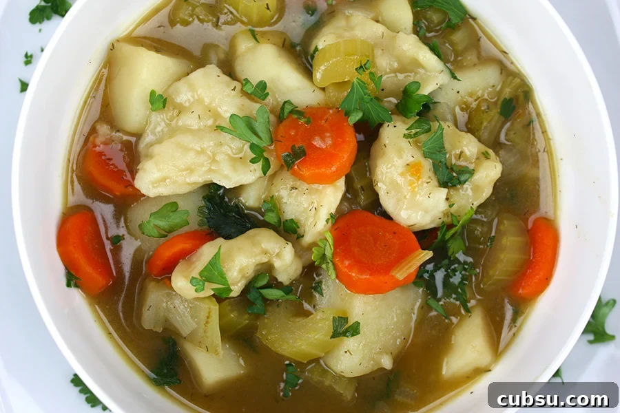 Vegetable dumpling soup in a white bowl.