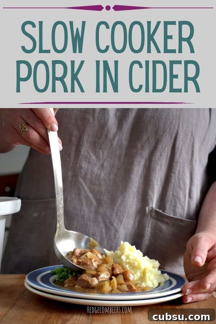 Slow Cooker Pork in Cider and Mustard Sauce 2 Woman serving up slow cooker pork in cider from a silver ladle onto a blue and white plate
