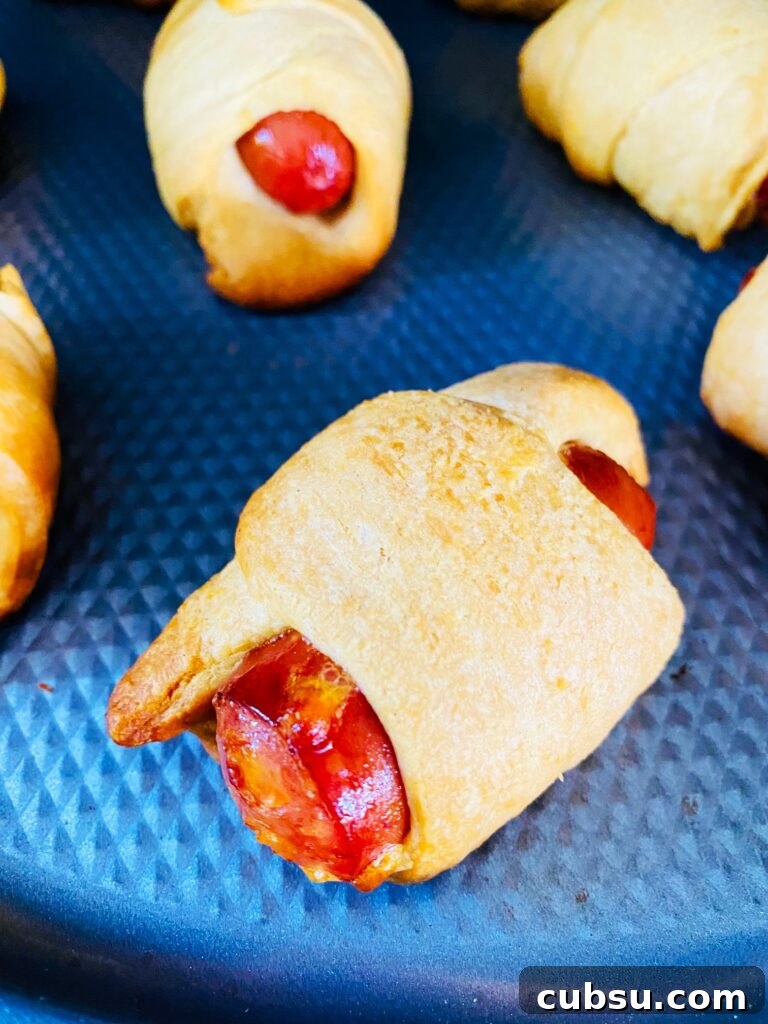 Savory Breakfast Pigs in a Blanket Recipe for Busy Mornings 12 Traeger Pigs In A Blanket