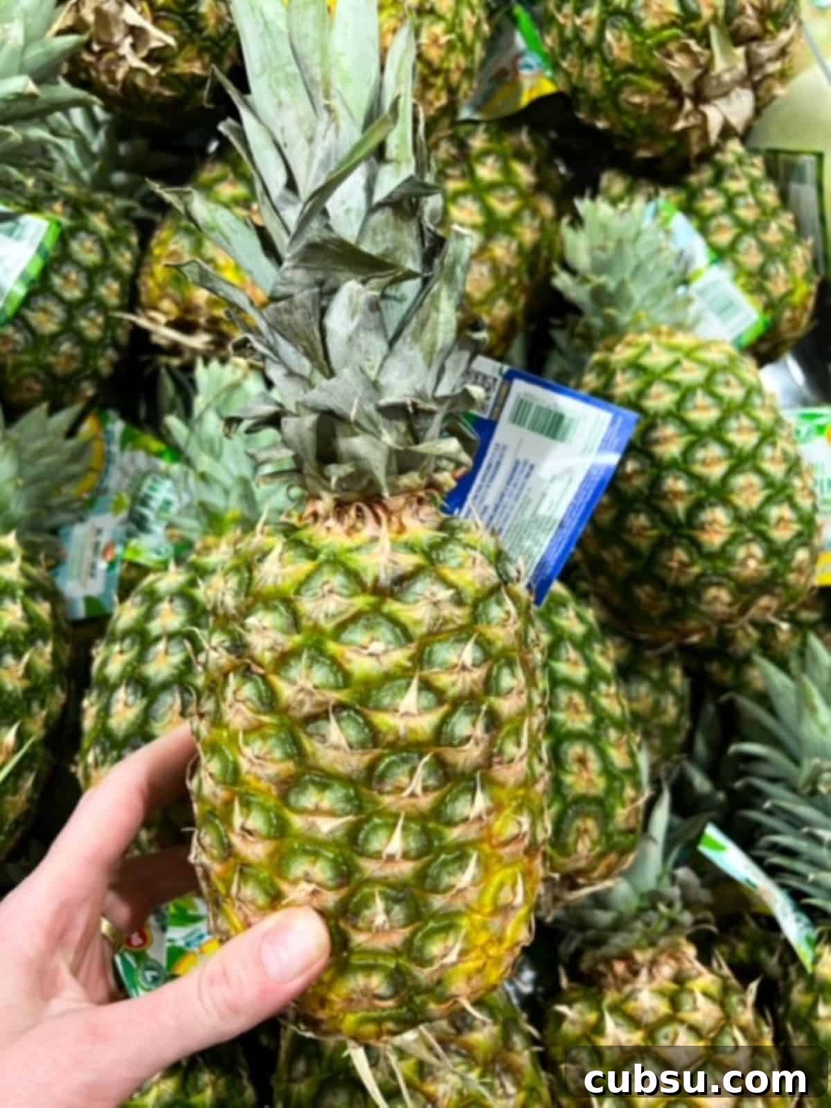 How to Choose a Ripe, Sweet Pineapple: Expert Tips for Picking One 2 One pineapple held up over a pile of pineapples.