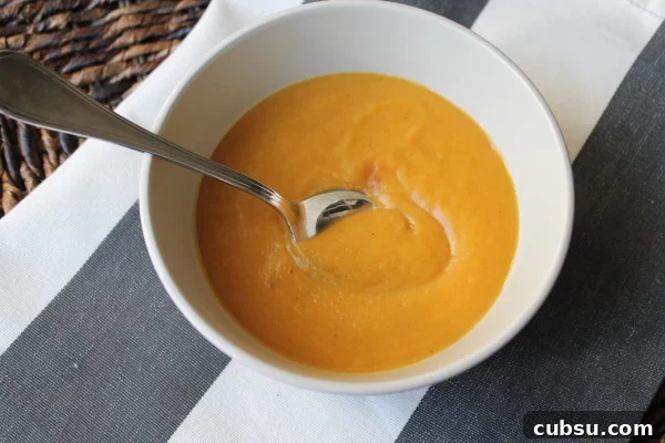 Paleo Butternut Squash Soup with Apples and Shallots IMG_6311