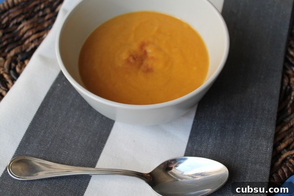 Paleo Butternut Squash Soup with Apples and Shallots IMG_6307