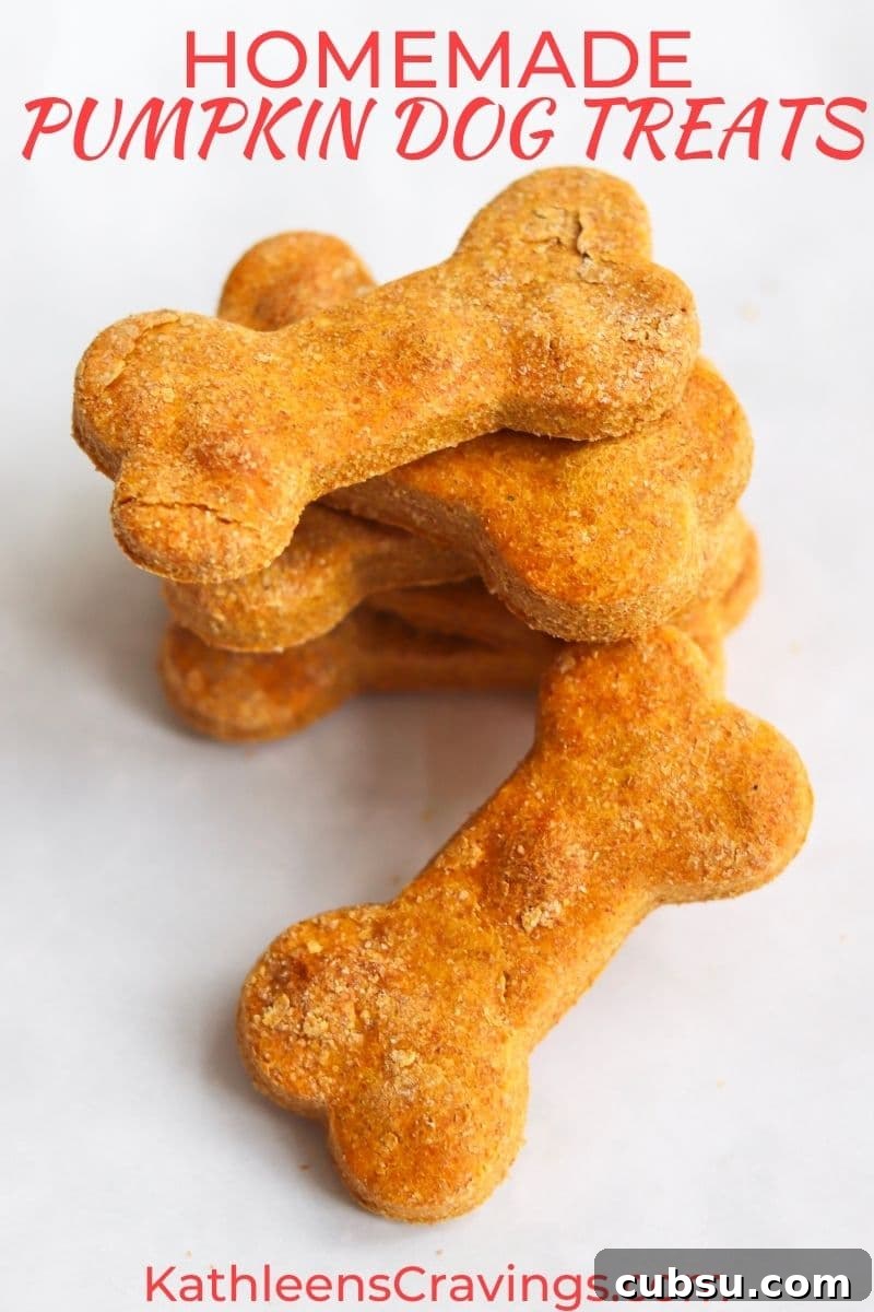 Peanut Butter and Pumpkin Dog Treats: Homemade Recipe for Dogs 2 Stack of homemade peanut butter pumpkin dog treats in a bone shape