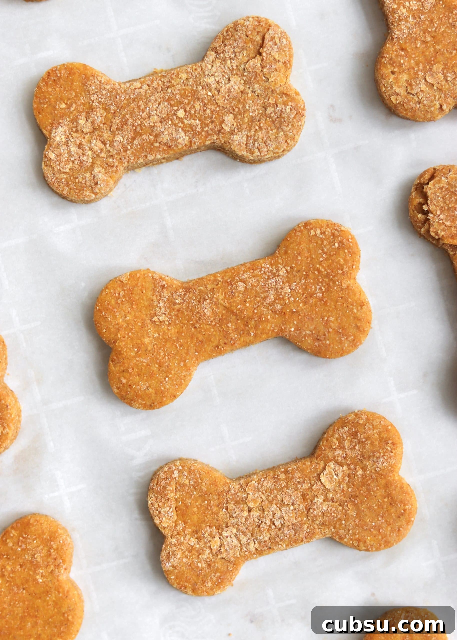 Peanut Butter and Pumpkin Dog Treats: Homemade Recipe for Dogs 3 Unbaked pumpkin dog treats