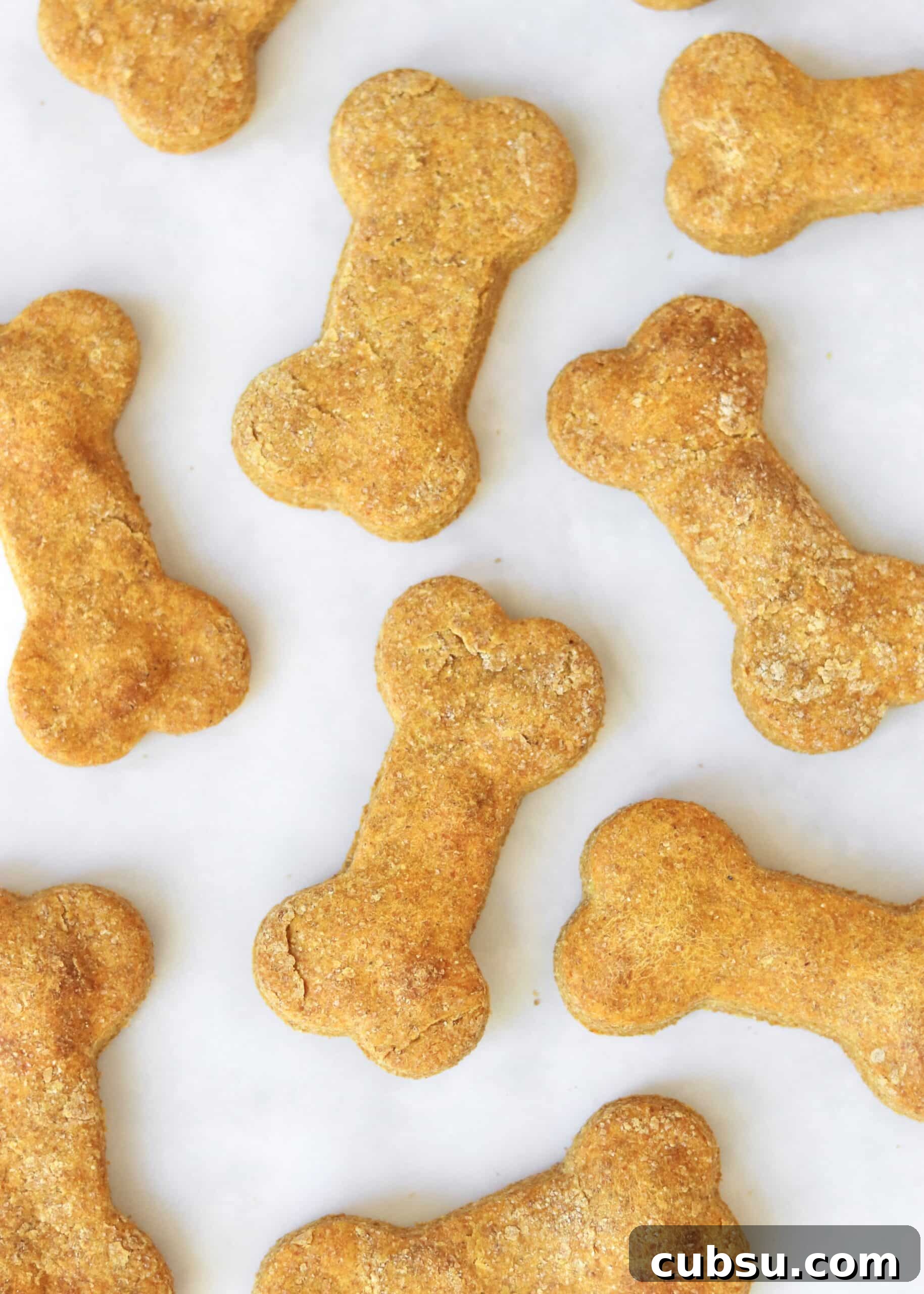 Peanut Butter and Pumpkin Dog Treats: Homemade Recipe for Dogs 6 homemade pumpkin peanut butter dog treats cut in bone shape