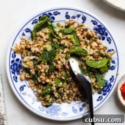 Authentic Thai Chicken Larb Recipe: Zesty Ground Chicken Salad 5 Plate of Thai chicken larb with mint and chili on a floral dish.
