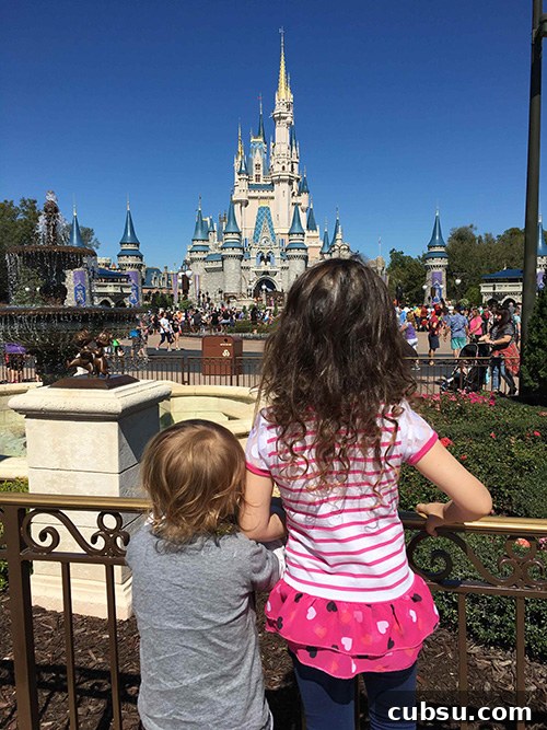 gluten free in disney world's magic kingdom
