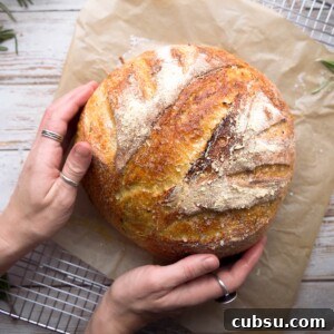 Rosemary Sea Salt Sourdough Bread Recipe for Crispy Crust 9 Hands holding a freshly baked loaf of rosemary sourdough bread