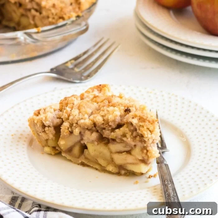 Weekly Meal Plan: Sept 3–9, 2024 – 7-Day Dinners & Prep Guide 15 Close up shot of a slice of apple pie for featured image.