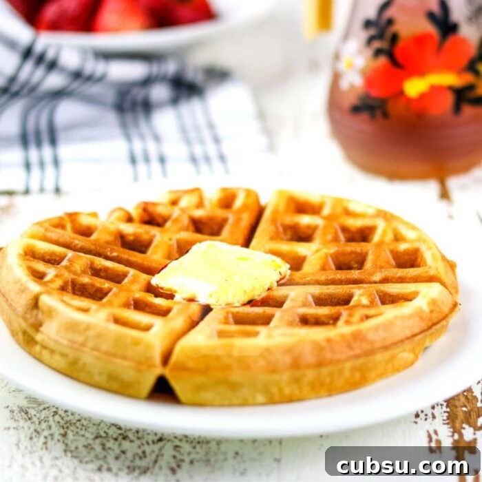 Weekly Meal Plan: Sept 3–9, 2024 – 7-Day Dinners & Prep Guide 23 Closeup of a finished waffle with butter on top.
