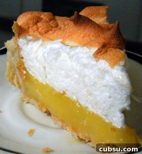 Weekly Meal Plan: Sept 3–9, 2024 – 7-Day Dinners & Prep Guide 25 Slice of lemon meringue pie
