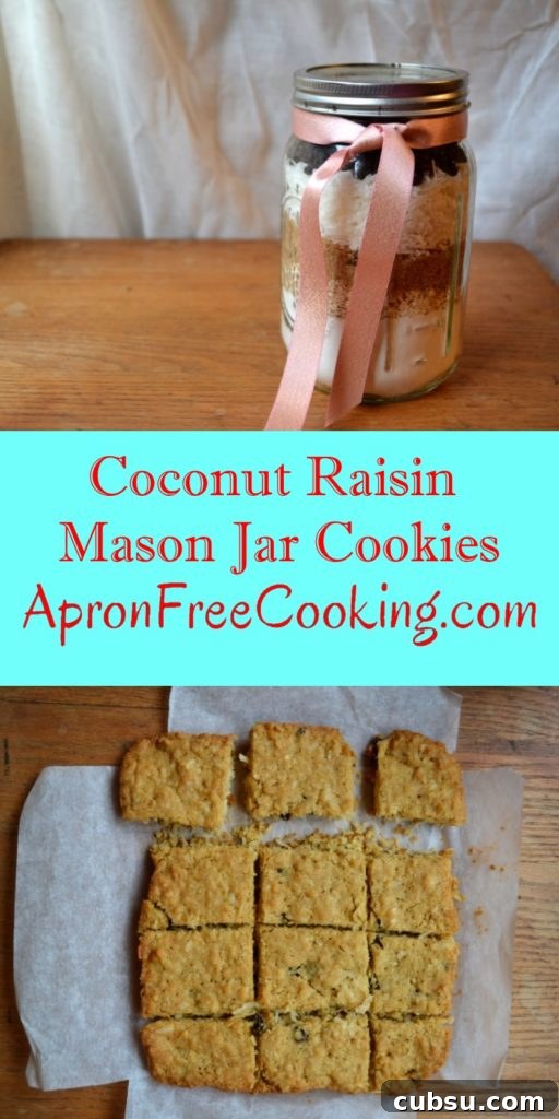 Coconut Raisin Mason Jar Cookies a great gift idea for homemade cookies