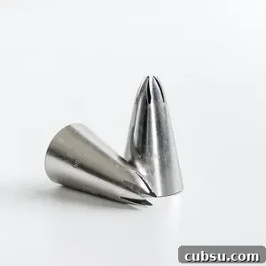 Wilton 1M Piping Tip