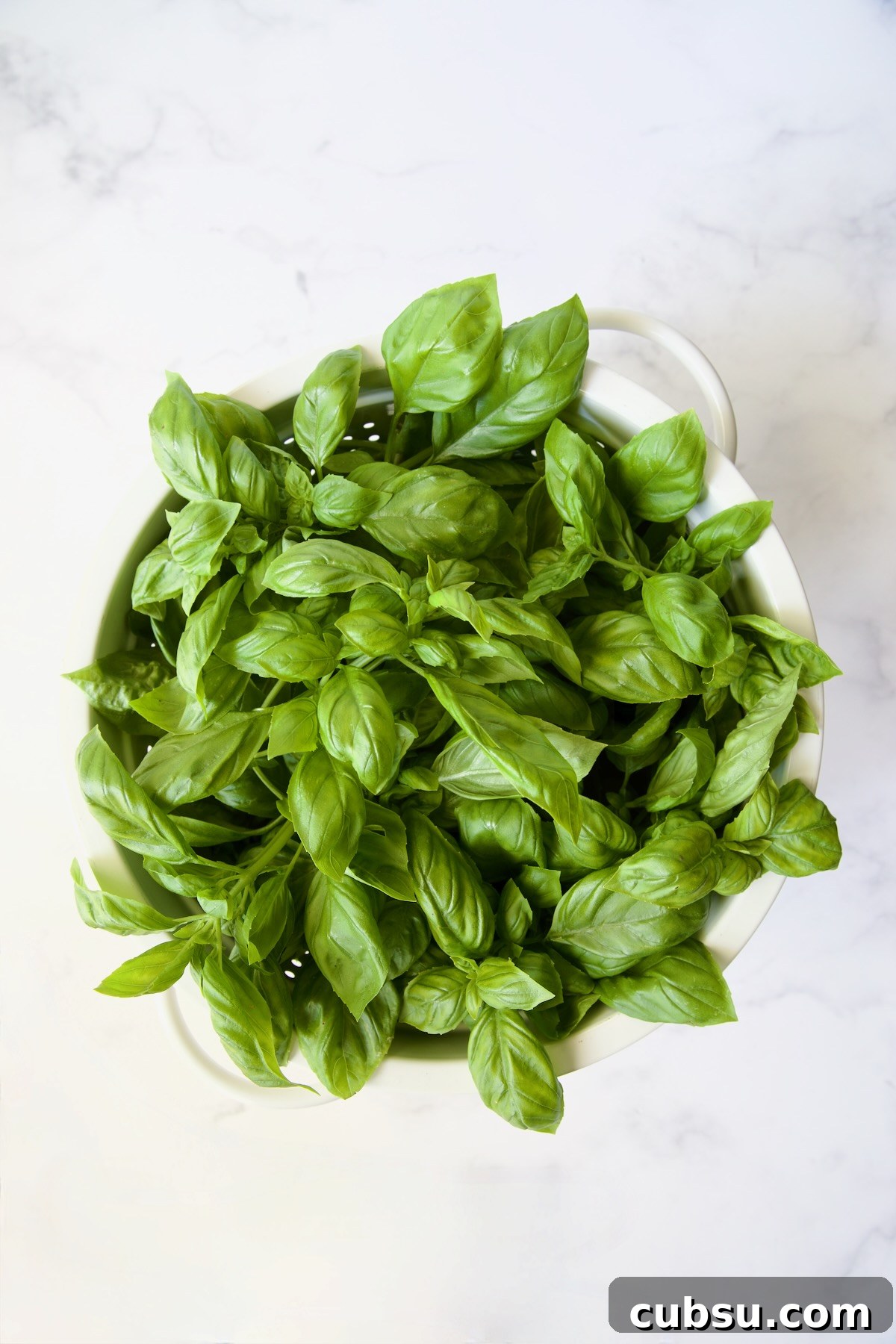 Colander full of fresh basil.