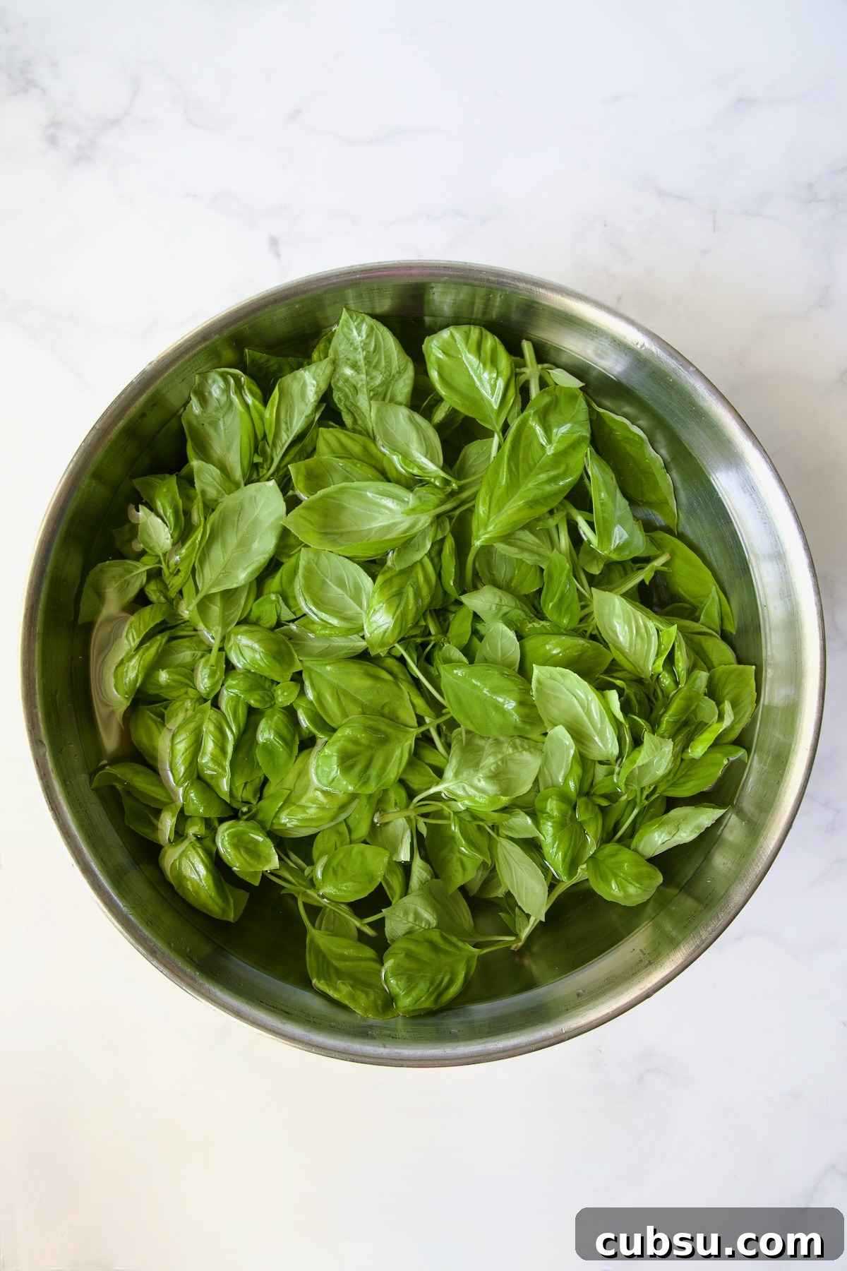 Fresh basil submerged in water in stainless steel bowl.