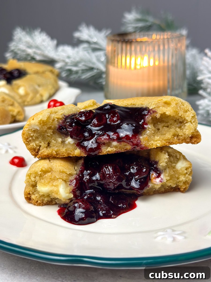 Blueberry Cheesecake Cookie Recipe — Soft, Creamy Bites 2 blueberry cheesecake cookies