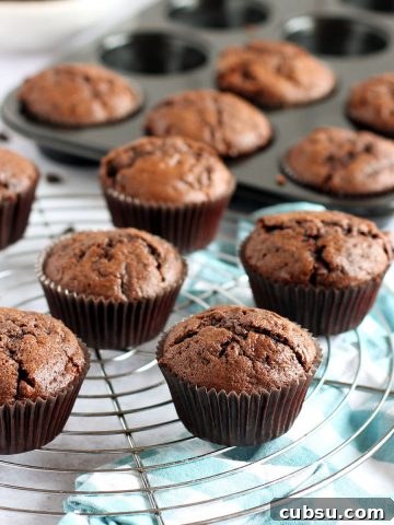 Chocolate courgette muffins on a cooling rack.