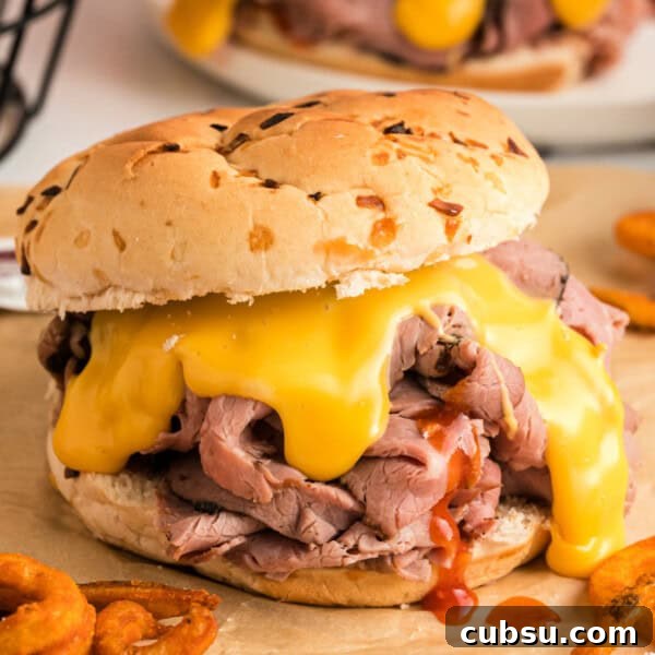 closeup of a beef and cheddar sandwich